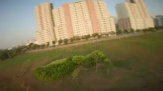 Maiden new quad falcox beta 5