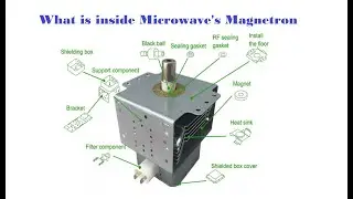 What is inside Microwave's Magnetron