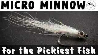 Use This Fly When the Fish Won't Eat - Micro Minnow - Fly Tying Tutorial