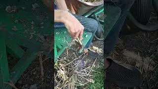 Приспособление для обрезки чеснока 👍