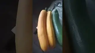 Кабачок золотинка