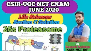 26s proteasome CSIR NET LIFE SCIENCES PAPER SOLUTION CSIR NET RESULT JUNE 2020  CSIR NET EXAM result