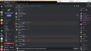 Herobrine.org discord mass ping