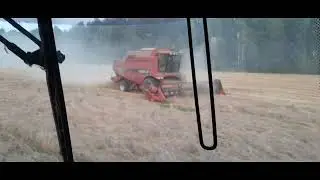 Палессе и Case в работе