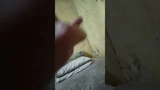 Tutorial dah