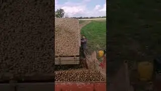Не знаешь как сделать репост? Смотри, мы научим 😉