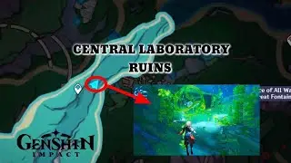 Exquisite Chest Trap inside 3 Seaweeds Southwest of Central Laboratory Ruins | Genshin Impact