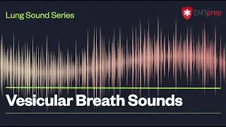 Vesicular Breath Sounds - EMTprep.com