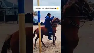 Лазер атты жуйрiк тулпарымнын тамаша журiсi✌️❤️#лазер#тазы#жылкы#айгыр#казакстан