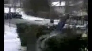 Kid jumping onto bushes