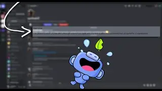Pretending To Be A Web Developer On Discord