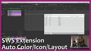 SWS Extension: Auto Color/Icon/Layout