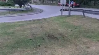 Video0015.3gp