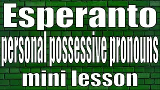 Esperanto possessive personal pronouns (mini lesson)