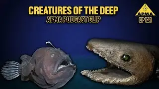 Creatures Of The Deep