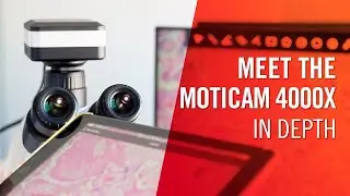 Meet the Moticam 4000X Microscopy Camera – In Depth | by Motic Europe