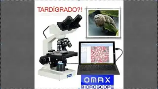 Comprei um MICROSCÓPIO PROFISSIONAL!!