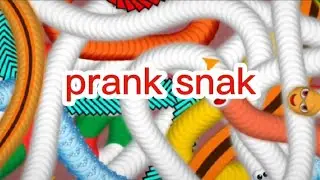 wormszon.io snake prank and finally a delicious meal @Bangjufamily @