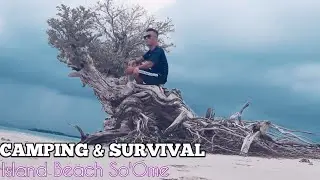 Camping and Survival - in the rain and strong winds Hunt for Stone Clams, Grill Squid on the Beach