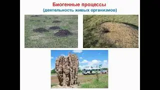Современные рельефообразующие процессы