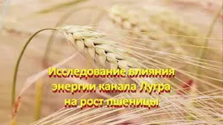 Исследование работы канала ЛУГРА