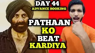 Gadar 2 Day 44 Advance Booking Scanilk | Gadar 2 Day 44 Collection Scanilk 