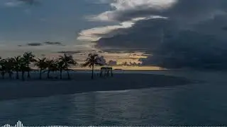 Marc Music - Tropical Dreams (Made with Suno)