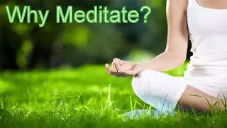 Why Meditate? | Benefits of everyday meditation