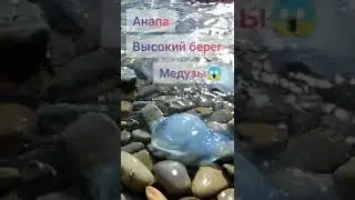 Огромные медузы в Анапе на Высоком берегу после шторма