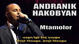 ANDRANIK HAKOBYAN - Mtamolor