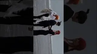 Chainsaw man seaside endings w/