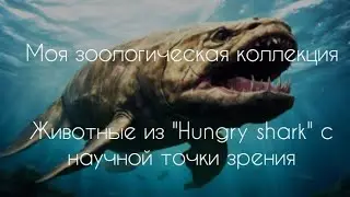 животные из вселенной "Hungry shark" с научной точки зрения