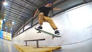 Radical Daze