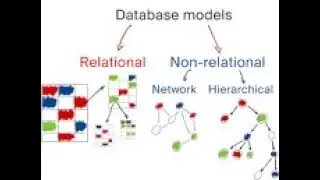 What are Database Models|| Examples