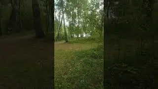 Фестиваль ЖизниГрад 2024(5)
