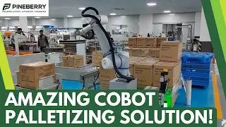Cobot Palletizing solution covering 10 Lines with 5 Robots