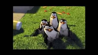 Opening to Shrek 2 2004 DVD (Australia)