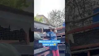Моя жизнь 