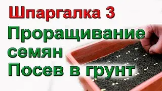 Как прорастить семена и посеять в грунт. ШПАРГАЛКА №3