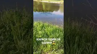 УСТАЛ ТАСКАТЬ КАРАСЯ