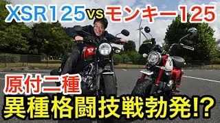 【原付二種MT・異種格闘技戦?!】ヤマハ XSR125 vs ホンダ モンキー125「同時に乗り比べると…アレもコレも全然違う!!」