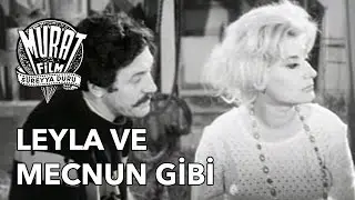 Leyla ve Mecnun Gibi - Göksel Arsoy