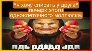 тикток хочет списать | подборка мемов