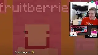 fruitberries and feinberg 1v1 battlebox