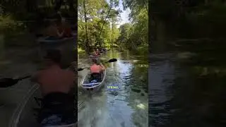 Explore this hidden gem of North Florida in a clear kayak - Gilchrist Blue Springs