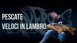 Simone Timolina pescate Veloci Fiume Lambro | CARPFISHING