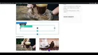 Creating a Blog Post with Divi Builder