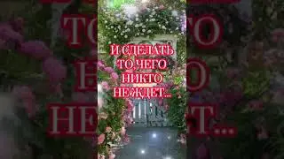 Утра доброго вам.