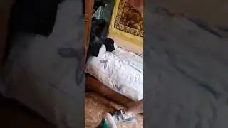 9 мая 2020 г.