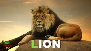 ABC Alphabets Animals      I    Kids Garden TV